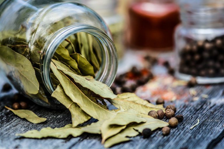 8 health benefits of bay leaves learn about them